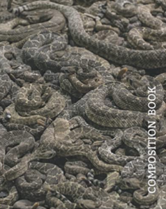 Rattlesnakes College Ruled Notebook