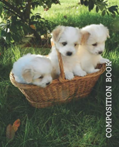 Coton de Tulear Puppies College Ruled Notebook