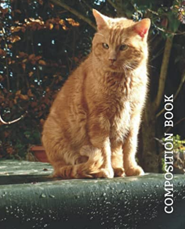 Orange Cat College Ruled Notebook