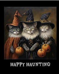 Happy Haunting Cat Witches Composition Book